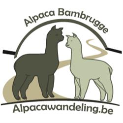 Alpaca Bambrugge