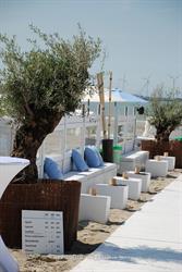Blue Marlin Knokke Beach and Cafe-Lounge