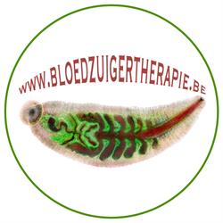 Bloedzuigertherapie België