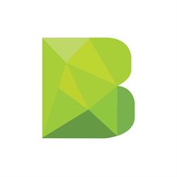 BIFAS - Fiscale Accountants