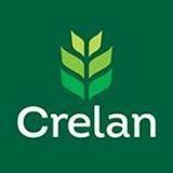 Crelan Tongeren Piepelpoel