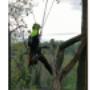 Treeworker De Smalle