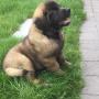 # 1