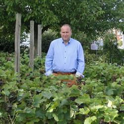 Wijnimport peter