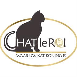 kattendierenartsenpraktijk Chat le Roi