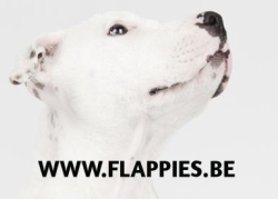 Flappies Hondentraining