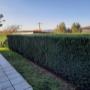 taille de haies par la société IGT Parcs et jardins de Farciennes