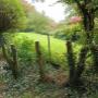 abattages d'arbres par la société IGT Parcs et jardins de Farciennes