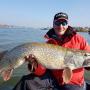 snoek