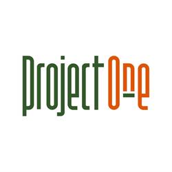 Project One