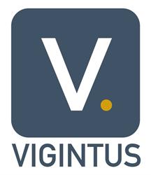 Vigintus BV