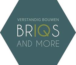 BRIQS and More