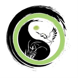 Shen Qi Olne Taichi - Qi Gong