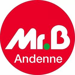 Mr.Bricolage Andenne