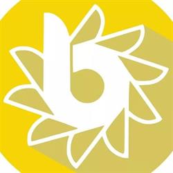 Berkenboom Humaniora