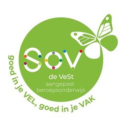 Aangepast stedelijk beroepsonderwijs De Vest
