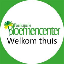 Bloemencenter Poelkapelle