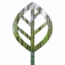 Arborius Boomverzorging