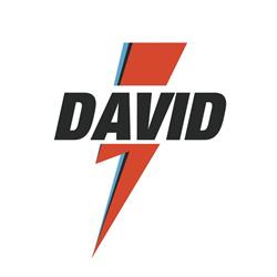 Brasserie David