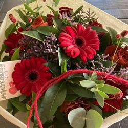 Bij Catherine Cathflower