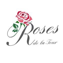 Roses de la Tour