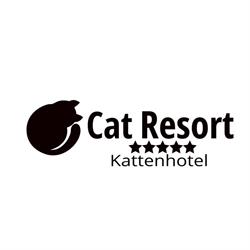 Cat Resort
