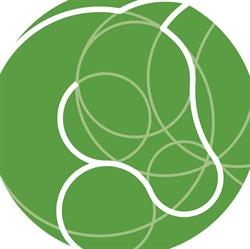 AnSeKa - Coaching met paarden, familieopstellingen, bedrijfsopstellingen