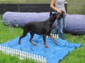 over plastiek lopen