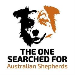 Australian shepherds The One Searched For
