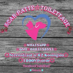 Toilettage SCAR-PATTE