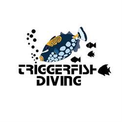 Triggerfish Diving