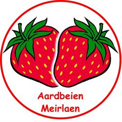 Aardbeien Meirlaen