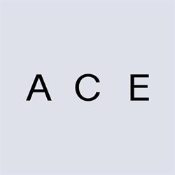 ACE.menstore