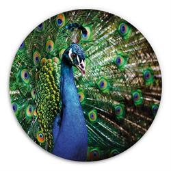 The Peacock Treatment