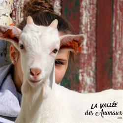 La Vallée Des Animaux