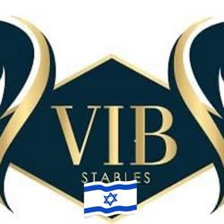 VIB Stables