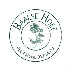 Baalse Hoef Bloemenboerderij & Pluktuin