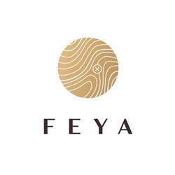 Feya bv