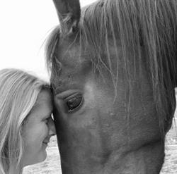equicoaching Abrazo