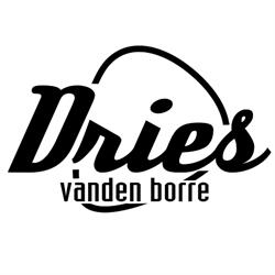 Gitaarlessen Dries Vanden Borre
