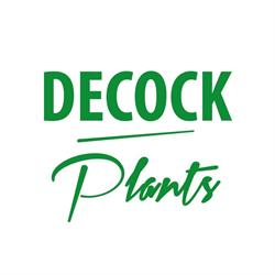 Decock Plants