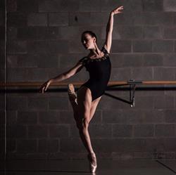 LJ's Ballet & Training