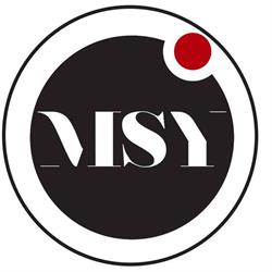 MSY Invest SPRL