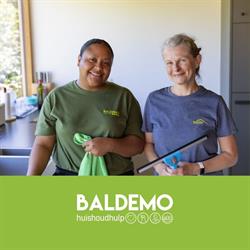 dienstenfirma BalDeMo