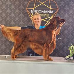 Barking Beauties Hondenkapsalon