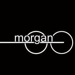 Morgan Optic