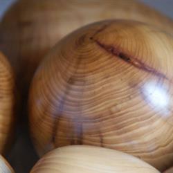 Histoires de Bois