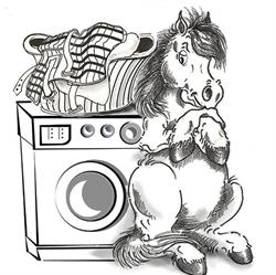 Equiwash