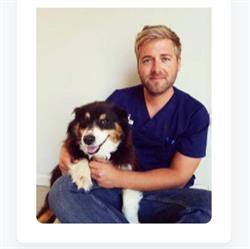 Cabinet Vétérinaire - Sébastien INGELS - Veterinaire du centre de Gistoux