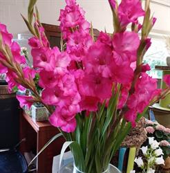 Bloemen Caroline